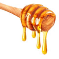 Honey Stinger  Fuelling your Workout